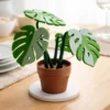 3d printed magnetic plant coaster
