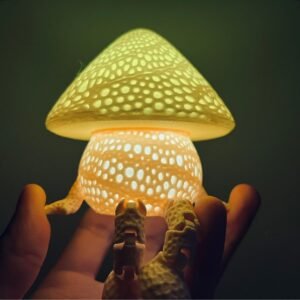 Mushroom on a Shelf